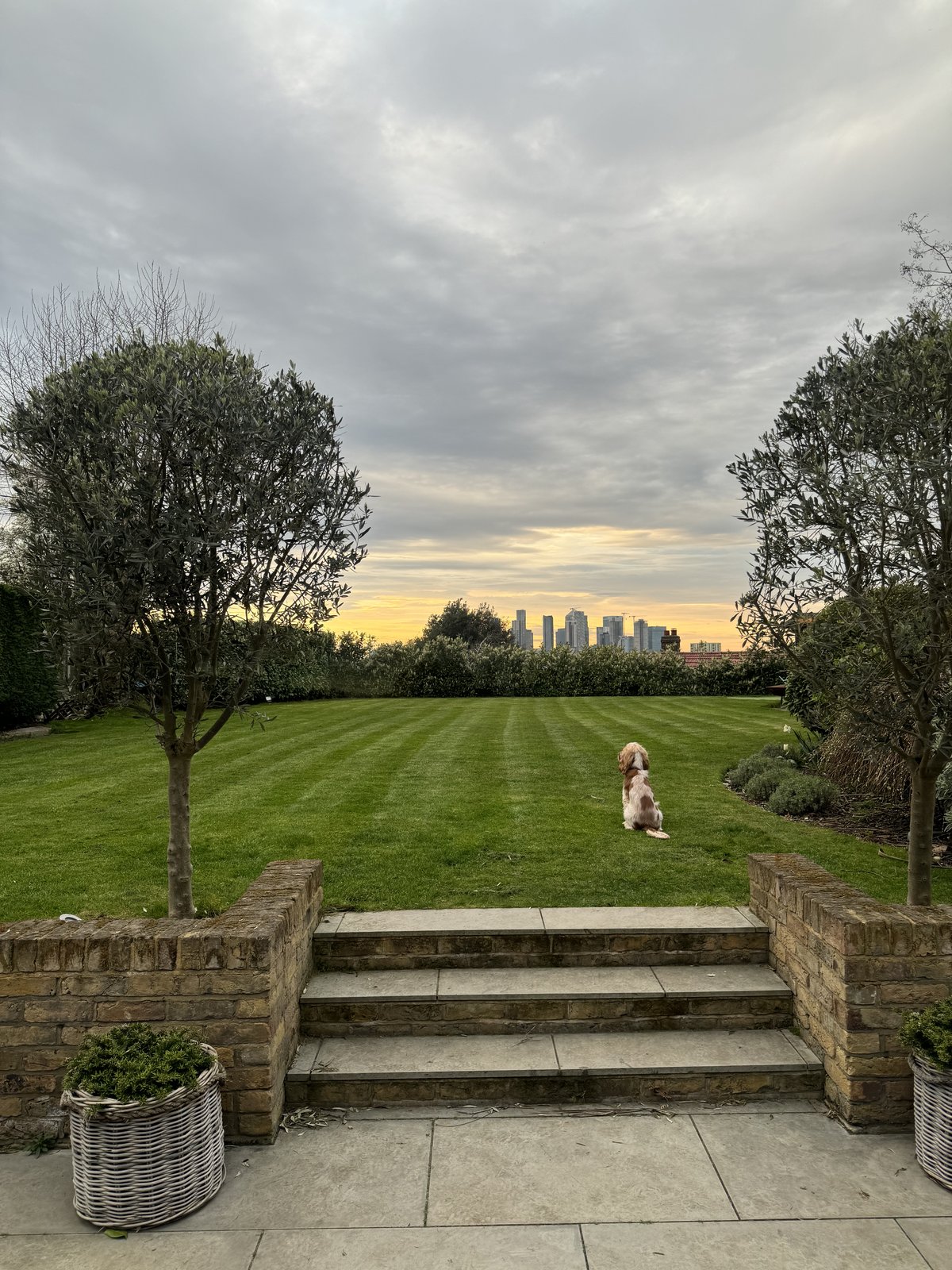 The garden at Coleraine Road at dusk, lawn manicured, the Canary Wharf skyline visible beyond the hedge.
